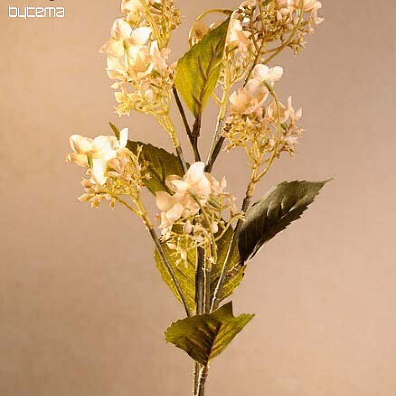 WILDE HORTENSIEN CREME