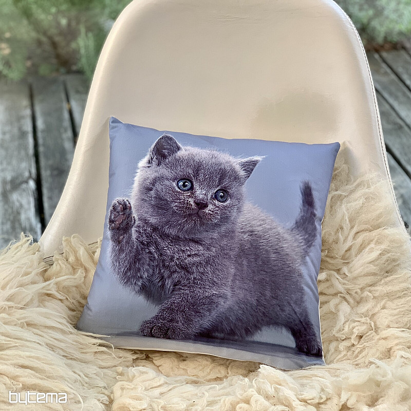 Deko-Cover KITTY