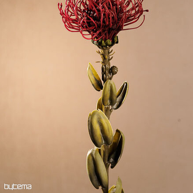 TROCKENES KLEINES PROTEA ROT