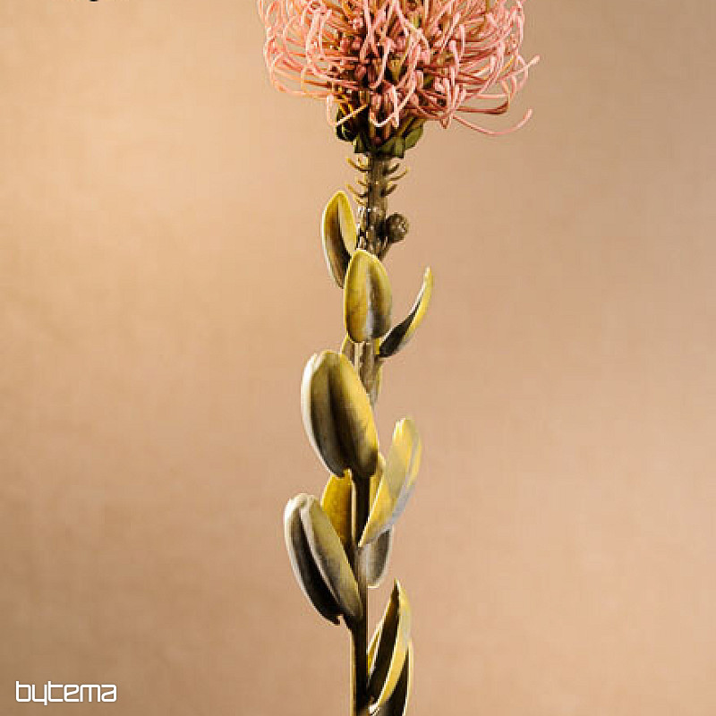 TROCKENE KLEINE PROTEA ROSA