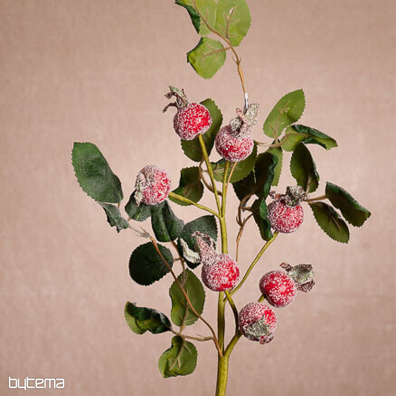 SCHNEEBEDECKTE PFEILE