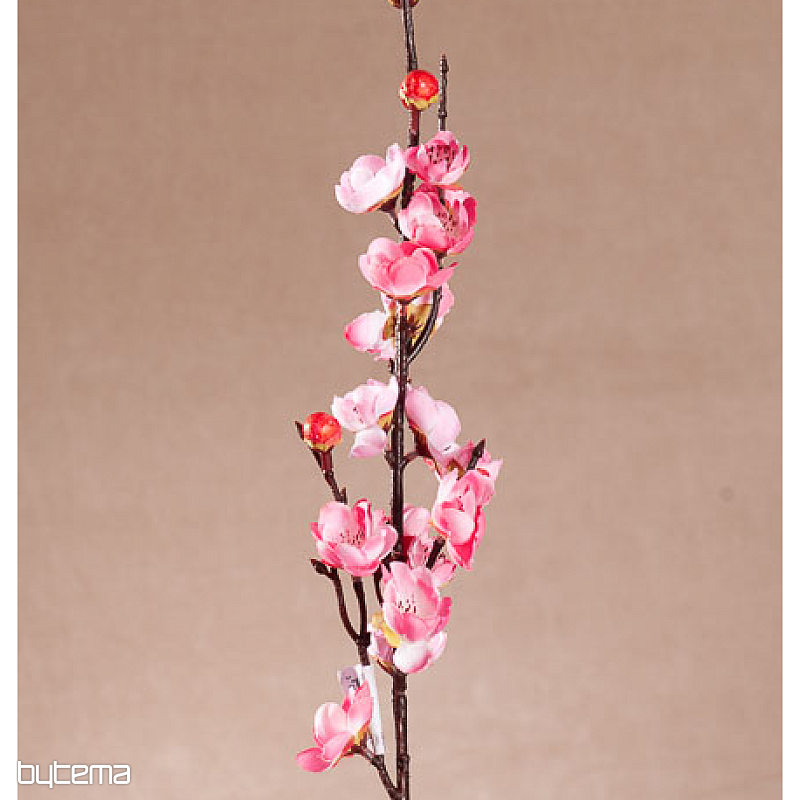 Kirschbaum Frühlingsrosa