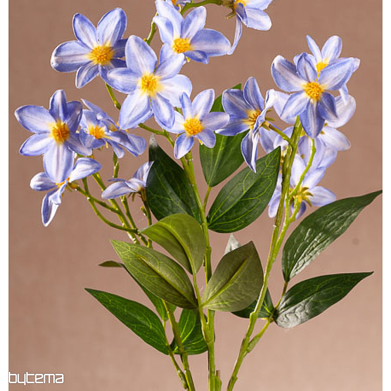 Clematisblau