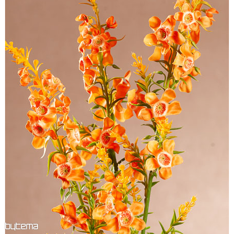 ORANGE KINDER