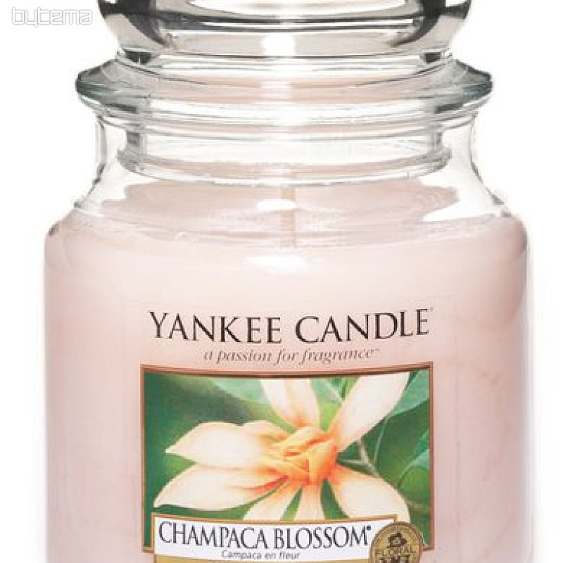 Kerze YANKEE Candle Duft CHAMPACA BLOSSOM - Champaca Blüte