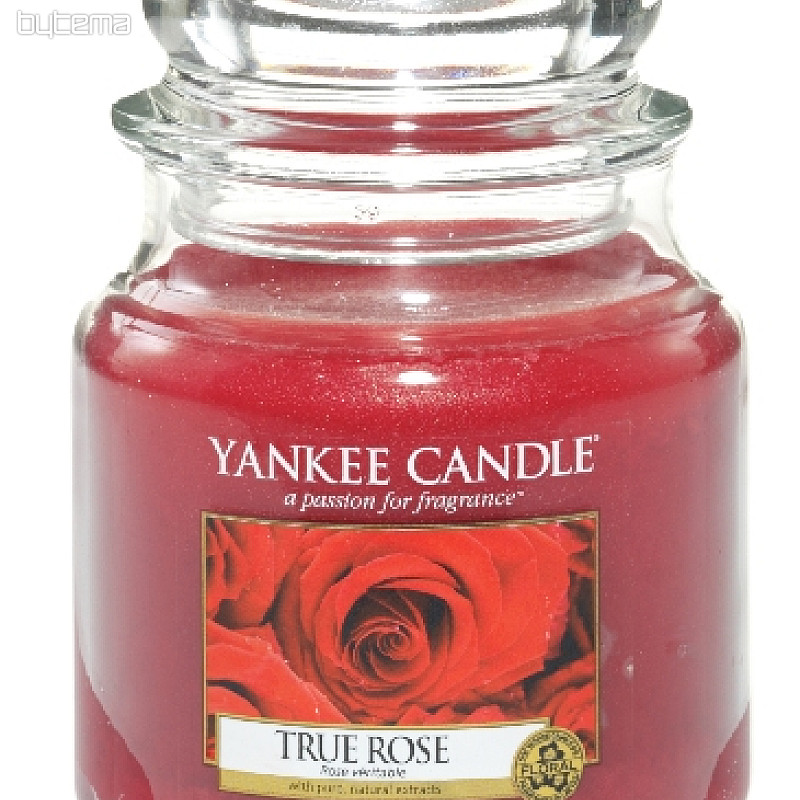 Kerze YANKEE CANDLE Duft TRUE ROSE -  echte Rose