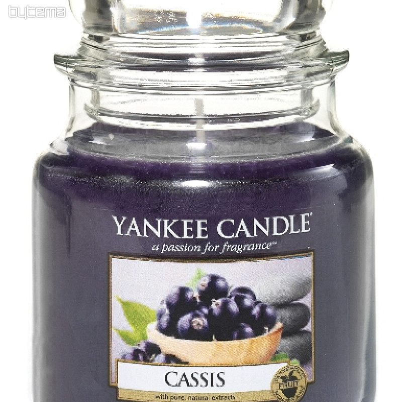 Kerze YANKEE CANDLE Duft CASSIS - schwarze Johannisbeere
