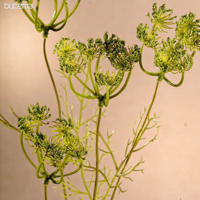 Grüner Dill 80 cm