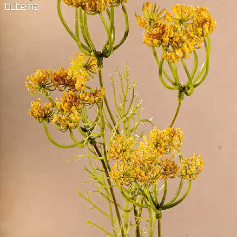 Gelber Dill 80 cm