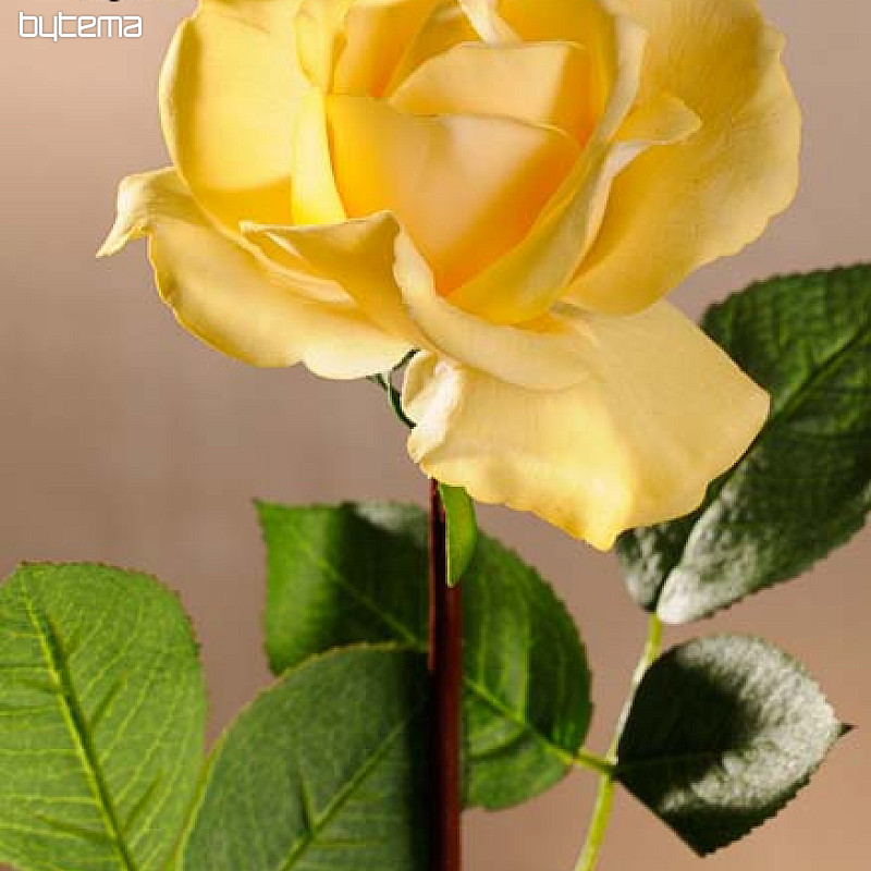 Gelbe Rose 67 cm