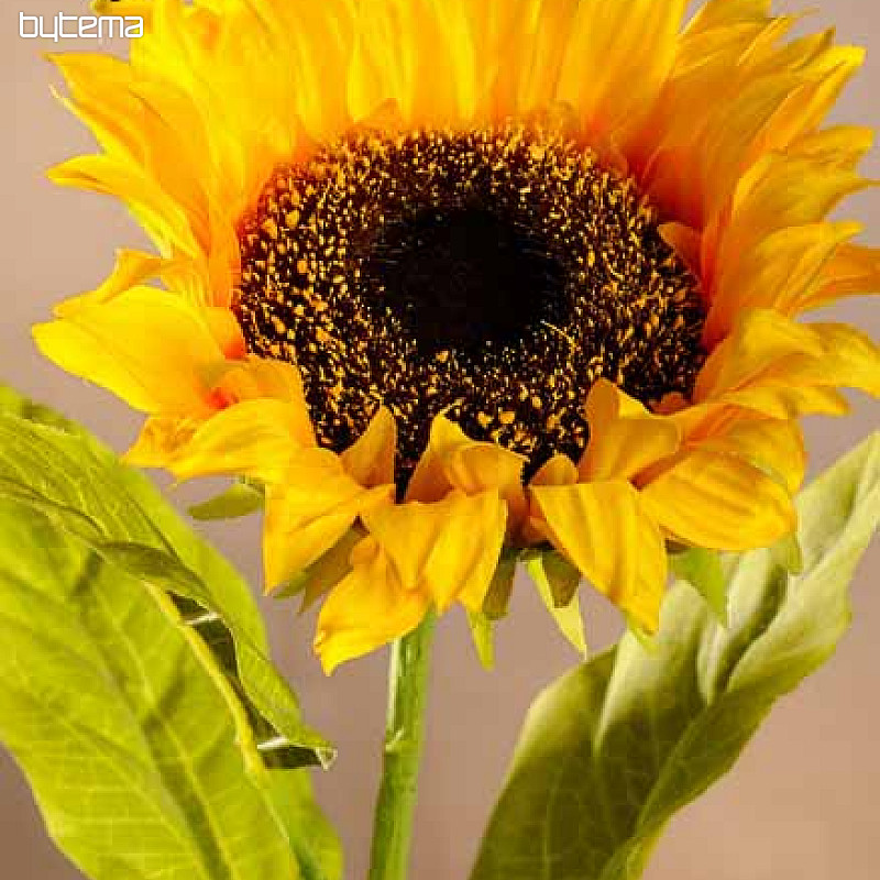 Sonnenblumenblüte 75 cm