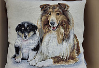 Für Tierliebhaber – Sanftheit, die Sie zähmen wird