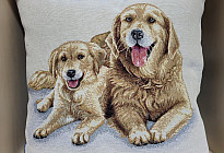 Für Tierliebhaber – Sanftheit, die Sie zähmen wird