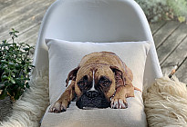 Für Tierliebhaber – Sanftheit, die Sie zähmen wird