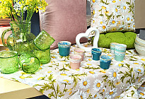 Frühlingsblumen voller Farben und Düfte