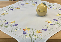 Frühlingsblumen voller Farben und Düfte