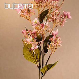 WILDE HORTENSIE ROSA