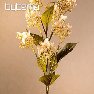 WILDE HORTENSIEN CREME