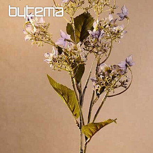 WILDE HORTENSIE BLAU
