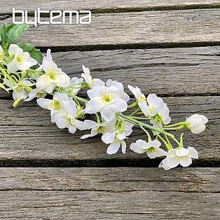 DELPHINIUM WEISS
