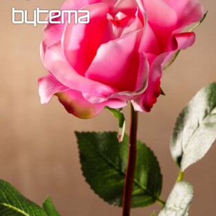 Hellrosa Rose 67 cm