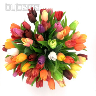 Tulpen mischen Farben