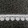 Spitze 5541/01- 4 cm weiß