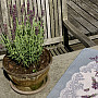 Gobelin-Tischdecke und Schal LAVENDER LACE