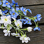 DELPHINIUM WEISS