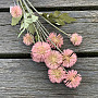 DRY PLASTIC POMPOM ROSA