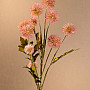 DRY PLASTIC POMPOM ROSA