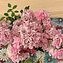 Gobelin-Tischset DAISY