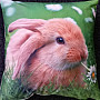 Dekorativer Kissenbezug BUNNY