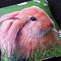 Dekorativer Kissenbezug BUNNY