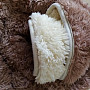 Kuscheldecke Schaf-Schaf Schokolade/Creme