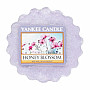 Kerze YANKEE CANDLE Duft HONEY BLOSSOM - Honigblüte