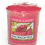 Kerze YANKEE CANDLE Duft PINK DRAGON FRUIT - rosa Drachenfrucht