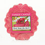 Kerze YANKEE CANDLE Duft PINK DRAGON FRUIT - rosa Drachenfrucht