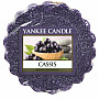 Kerze YANKEE CANDLE Duft CASSIS - schwarze Johannisbeere