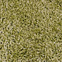 Teppich SHAGGY EXTRA grün