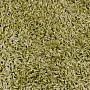 Teppich SHAGGY EXTRA grün