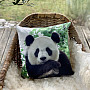 Dekorative Beschichtung PANDA