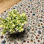 Gobelin-Tischdecke mit Blumen JURKOVIC – KLEINE BLUMEN