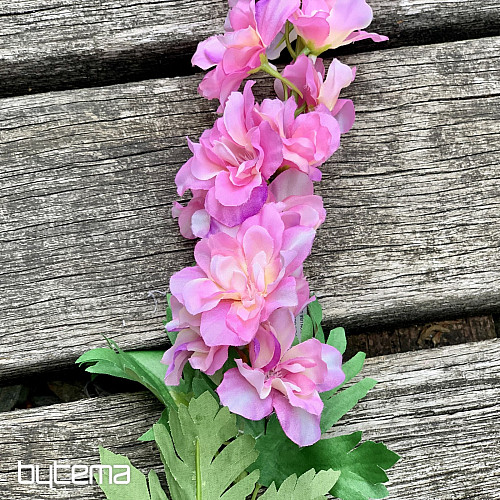 Delphinium rosa 79 cm