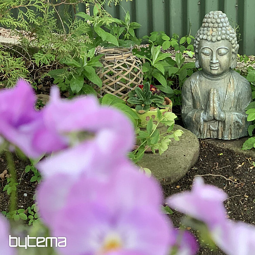 Socha-BUDDHA 28x20x50cm