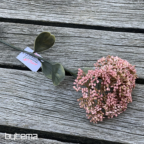TROCKENES VOLLBLÜTE-SEDUM 46 cm altrosa