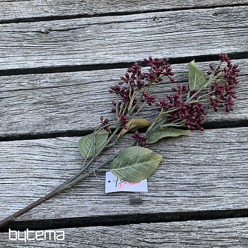 TROCKENES VIBURNUM TINUS 58 cm burgunderrot