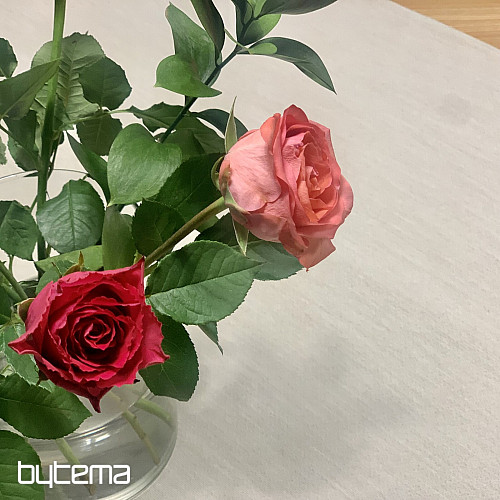 Gobelin-Tischdecke und Schal NATUR