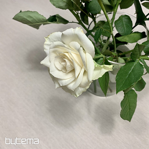 Gobelin-Tischdecke und Schal NATUR