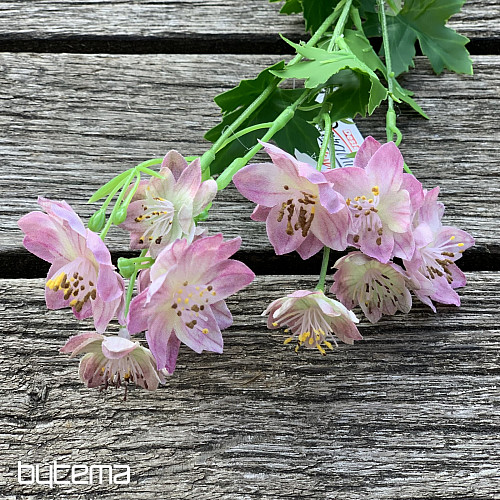 WILDE BLUME ROSA